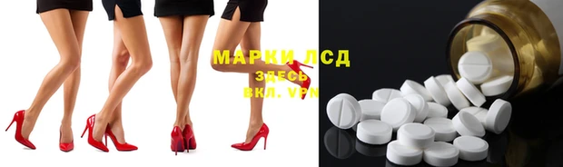 ПСИЛОЦИБИНОВЫЕ ГРИБЫ Тавда