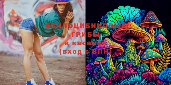 ECSTASY Волоколамск