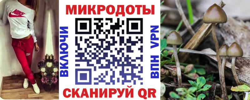 Псилоцибиновые грибы GOLDEN TEACHER  Правдинск 